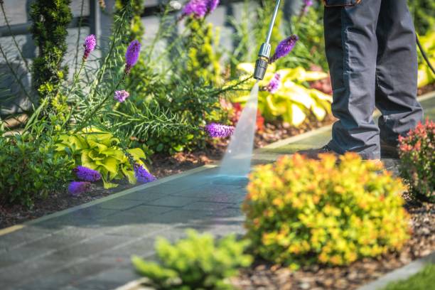 Best Driveway Pressure Washing  in La Mesa, CA